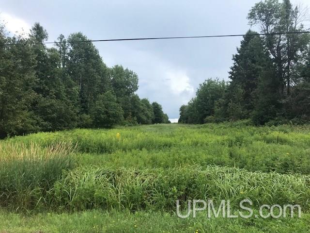 1810 Iron Lake Road Iron River, MI 49935 - Photo 26 of 32