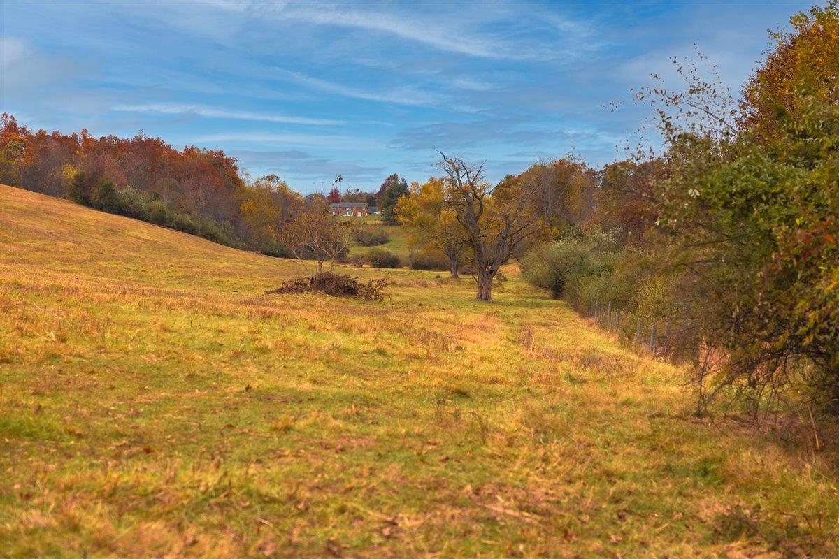 Tbd Tbd Old B And O Road Raphine, VA 24472 - Photo 23 of 36