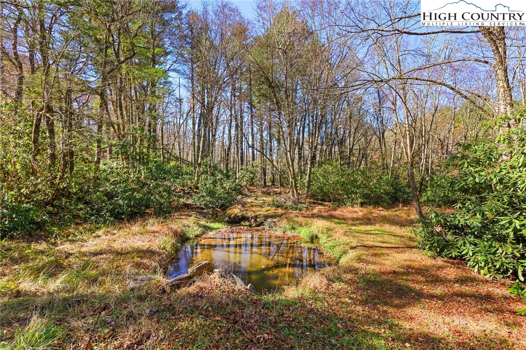 178 Brook Lane Boone, NC 28607 - Photo 45 of 48 a view of swimming pool with a yard