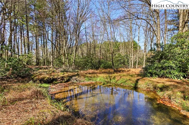 a backyard of a house with a yard and large tree