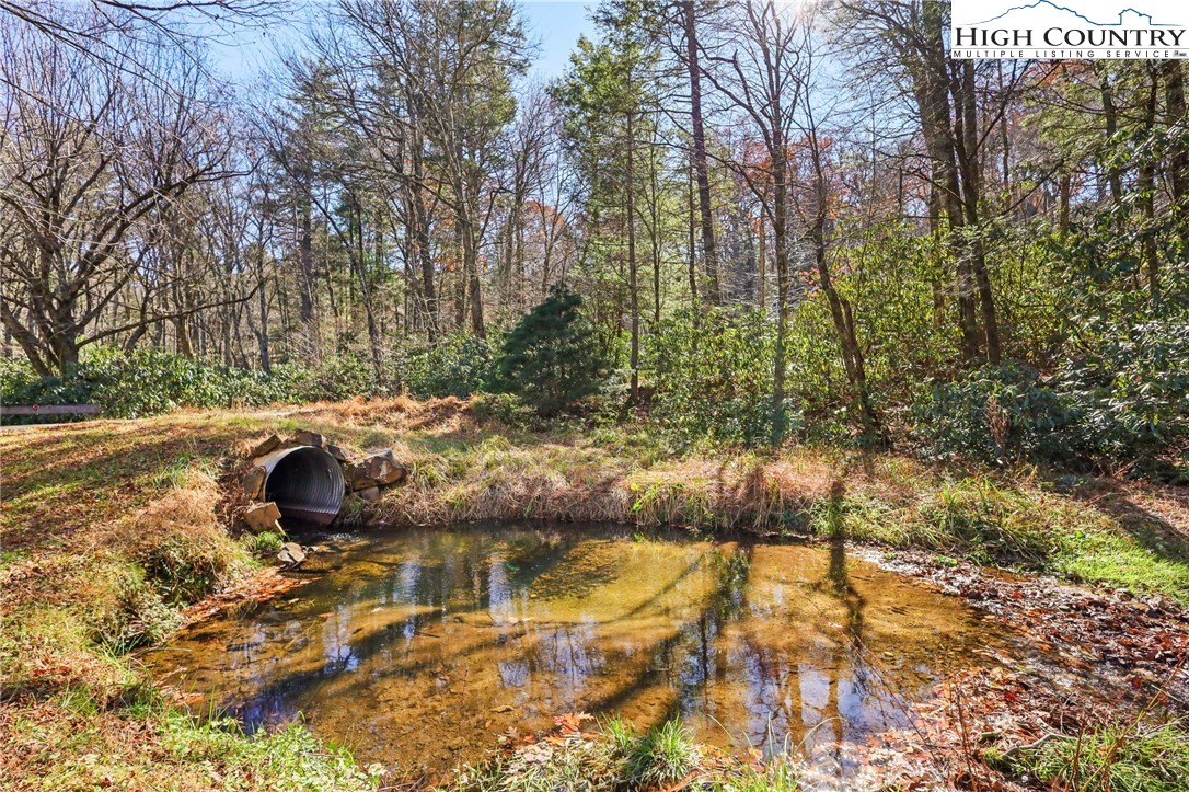 178 Brook Lane Boone, NC 28607 - Photo 47 of 48 a view of a yard