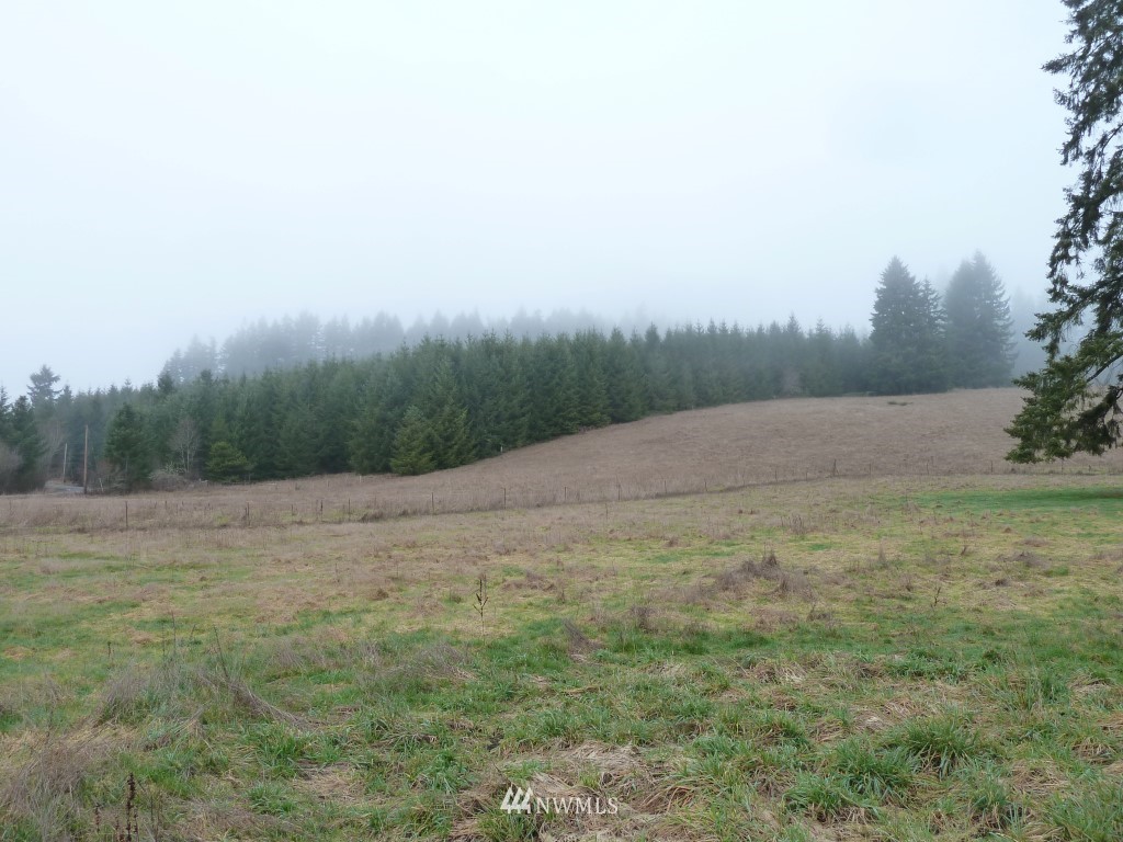 1076 King Road Winlock, WA 98596 - Photo 11 of 13