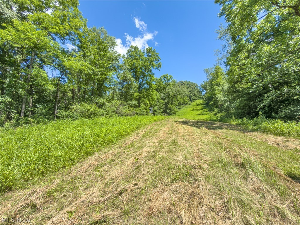 6985 Brush Run Road Cambridge, OH 43725 - Photo 44 of 50