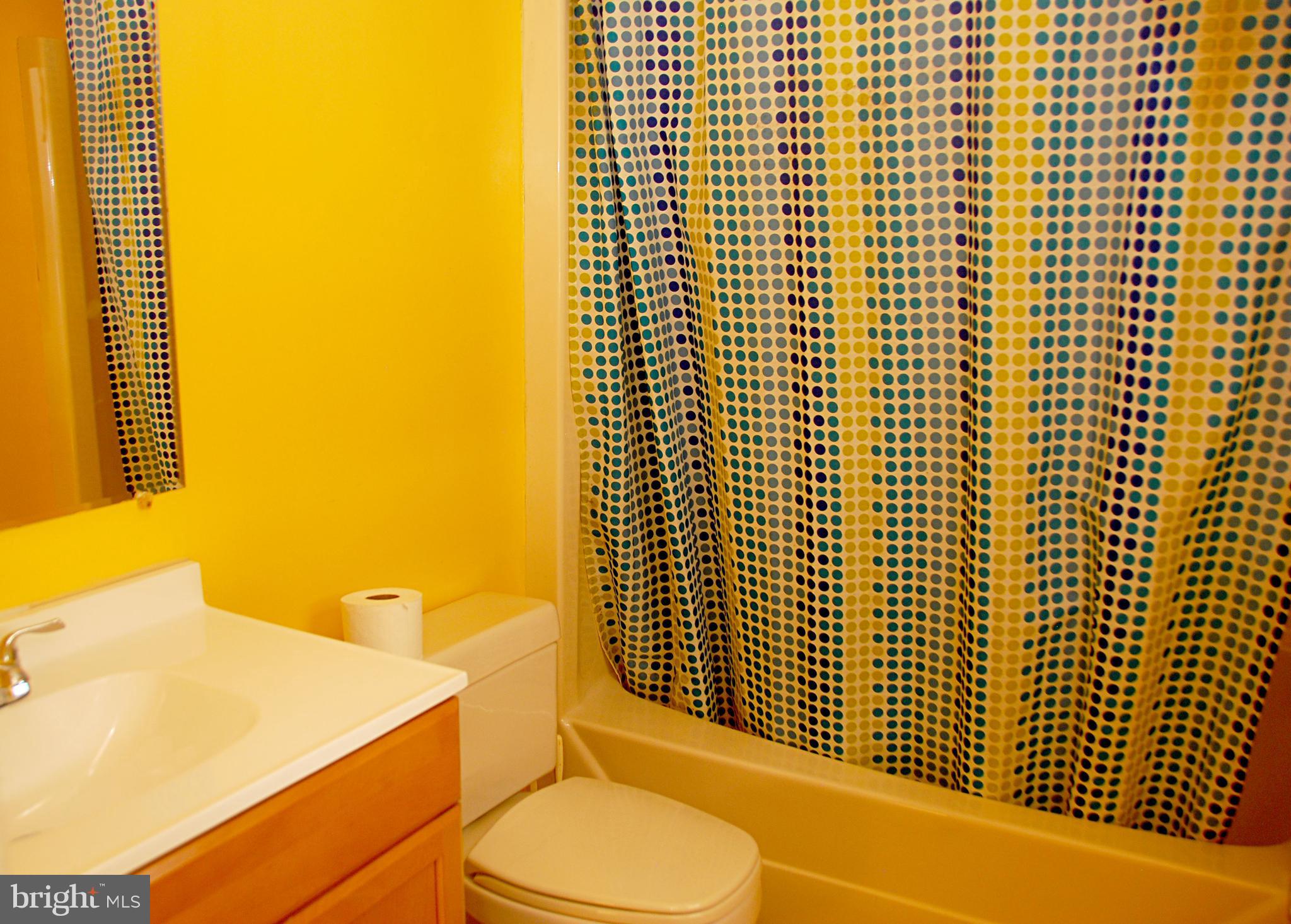 75 Roop Road Rising Sun, MD 21911 - Photo 14 of 30 master bath