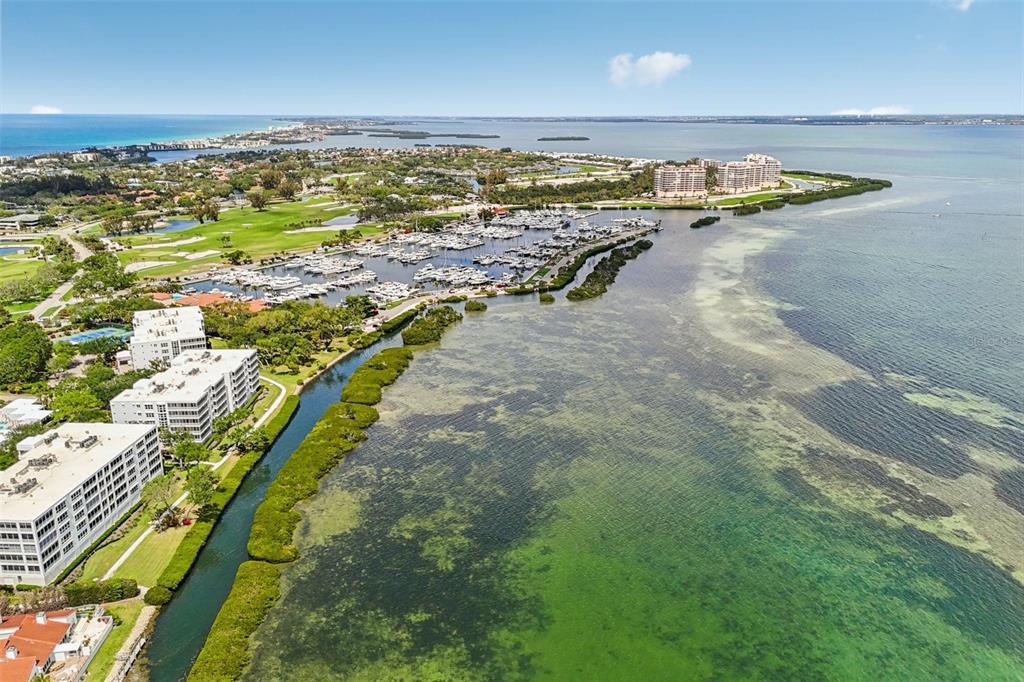 2450 Harbourside Drive, Unit 244 Longboat Key, FL 34228 - Photo 33 of 46 a view of an ocean and beach