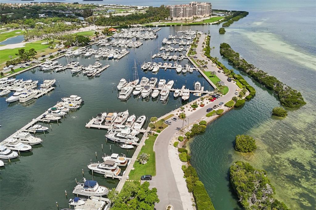 2450 Harbourside Drive, Unit 244 Longboat Key, FL 34228 - Photo 44 of 46 an aerial view of lake residential house with outdoor space