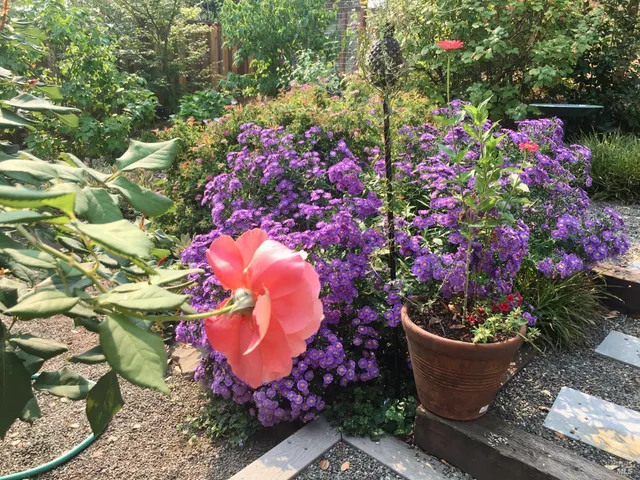 $839,900 | 3540 Sleepy Hollow Drive, Santa Rosa, CA 95404