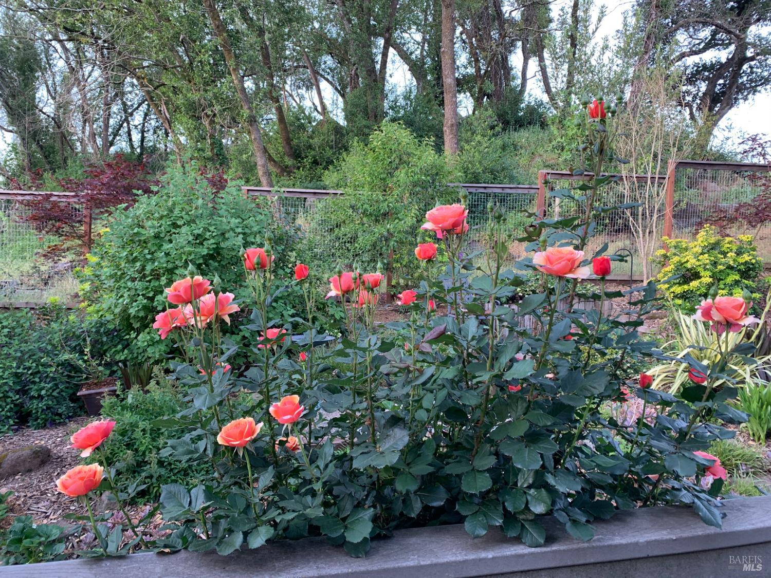 3540 Sleepy Hollow Drive Santa Rosa, CA 95404 - Photo 34 of 46