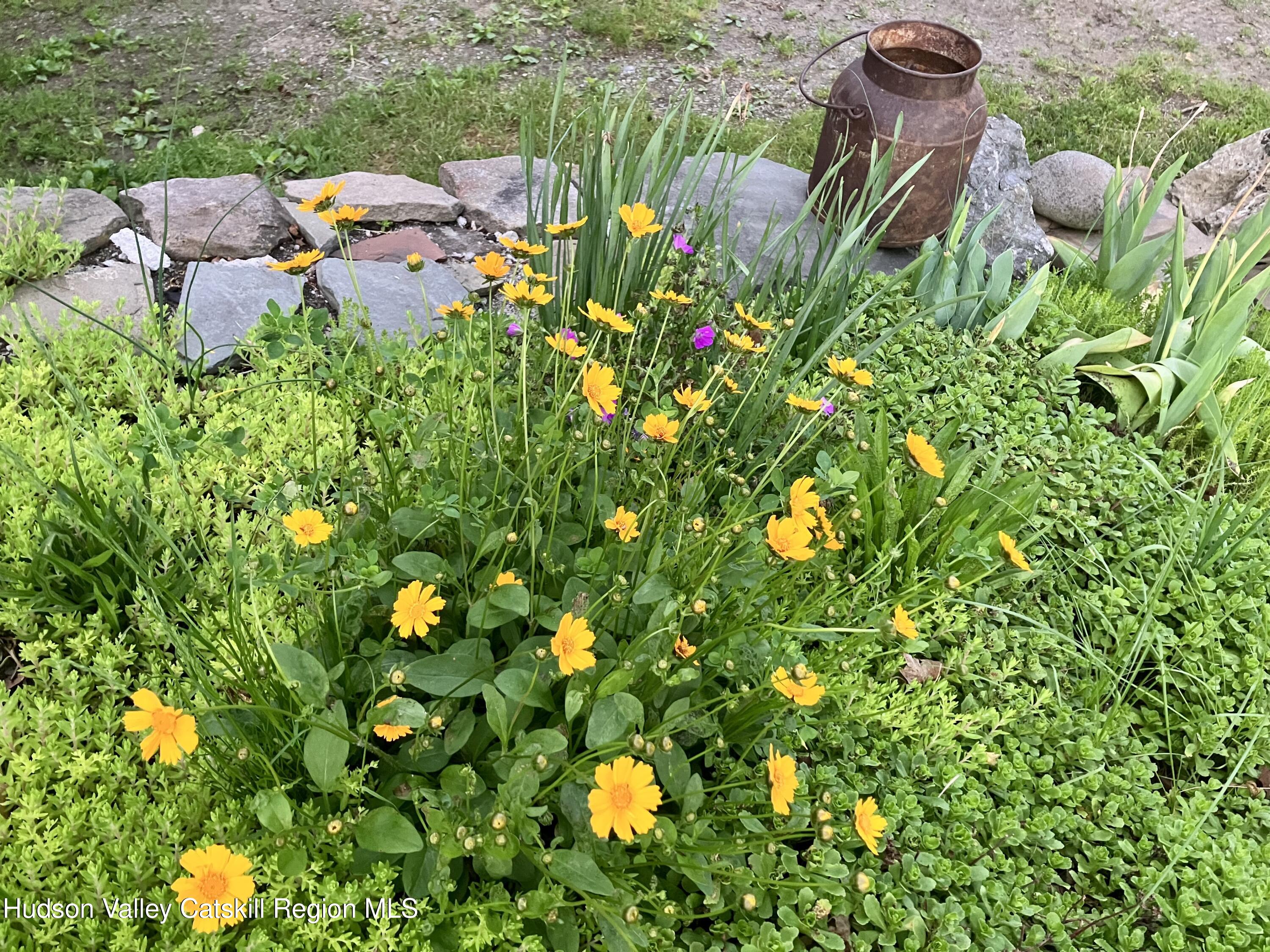 1492 County Road Copake, NY 12516 - Photo 28 of 34 a backyard of a house with lots of green space and a fountain