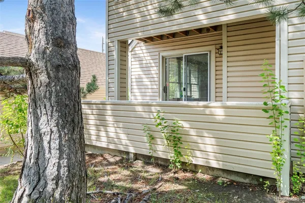 a view of a house with a yard and large tree
