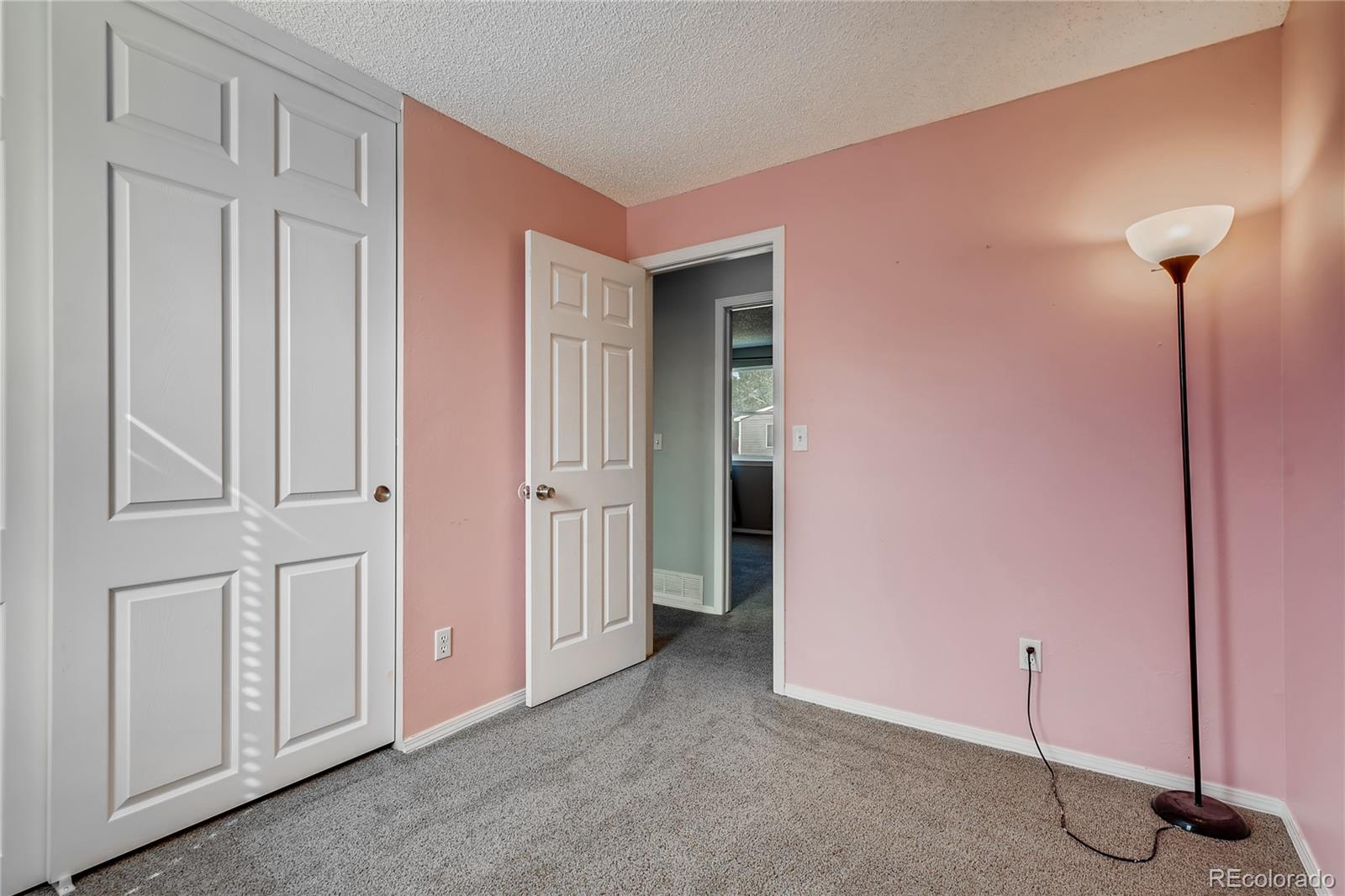 8434 Rabbitbrush Way Parker, CO 80134 - Photo 22 of 28