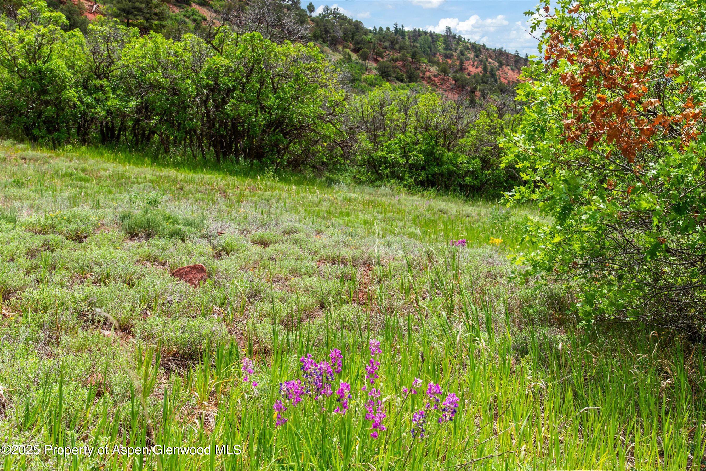 354 Snowmass Creek Road Snowmass, CO 81654 - Photo 7 of 53 09-354SnowmassCreek_250612009