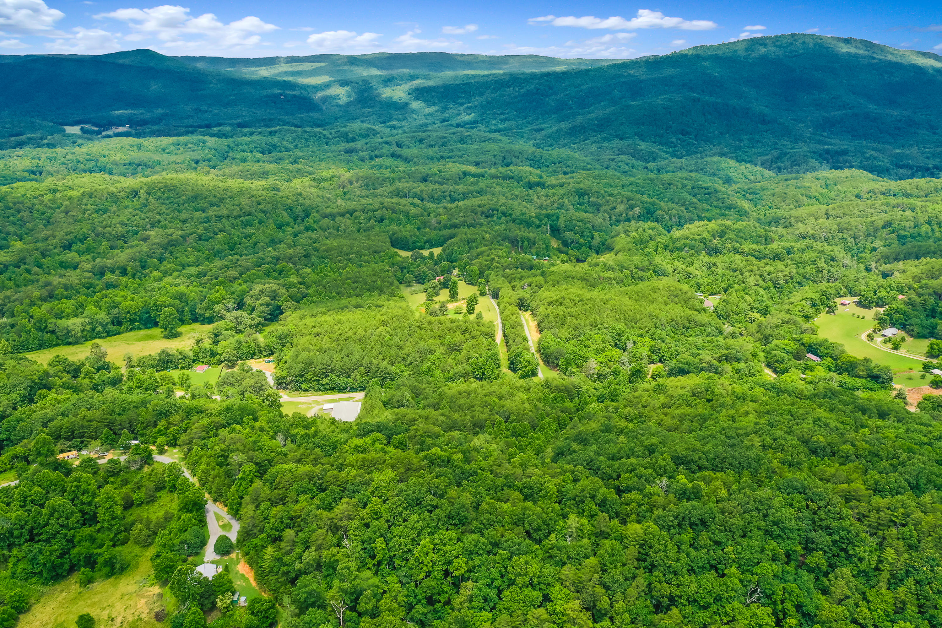 Reliance Road Road Tellico Plains, TN 37385 - Photo 11 of 15 RelianceRd-17