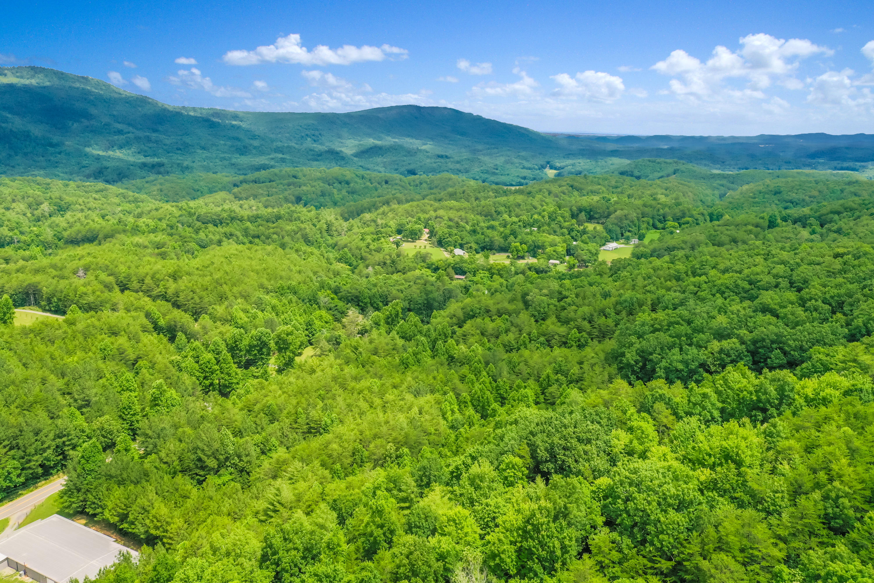 Reliance Road Road Tellico Plains, TN 37385 - Photo 12 of 15 RelianceRd-19
