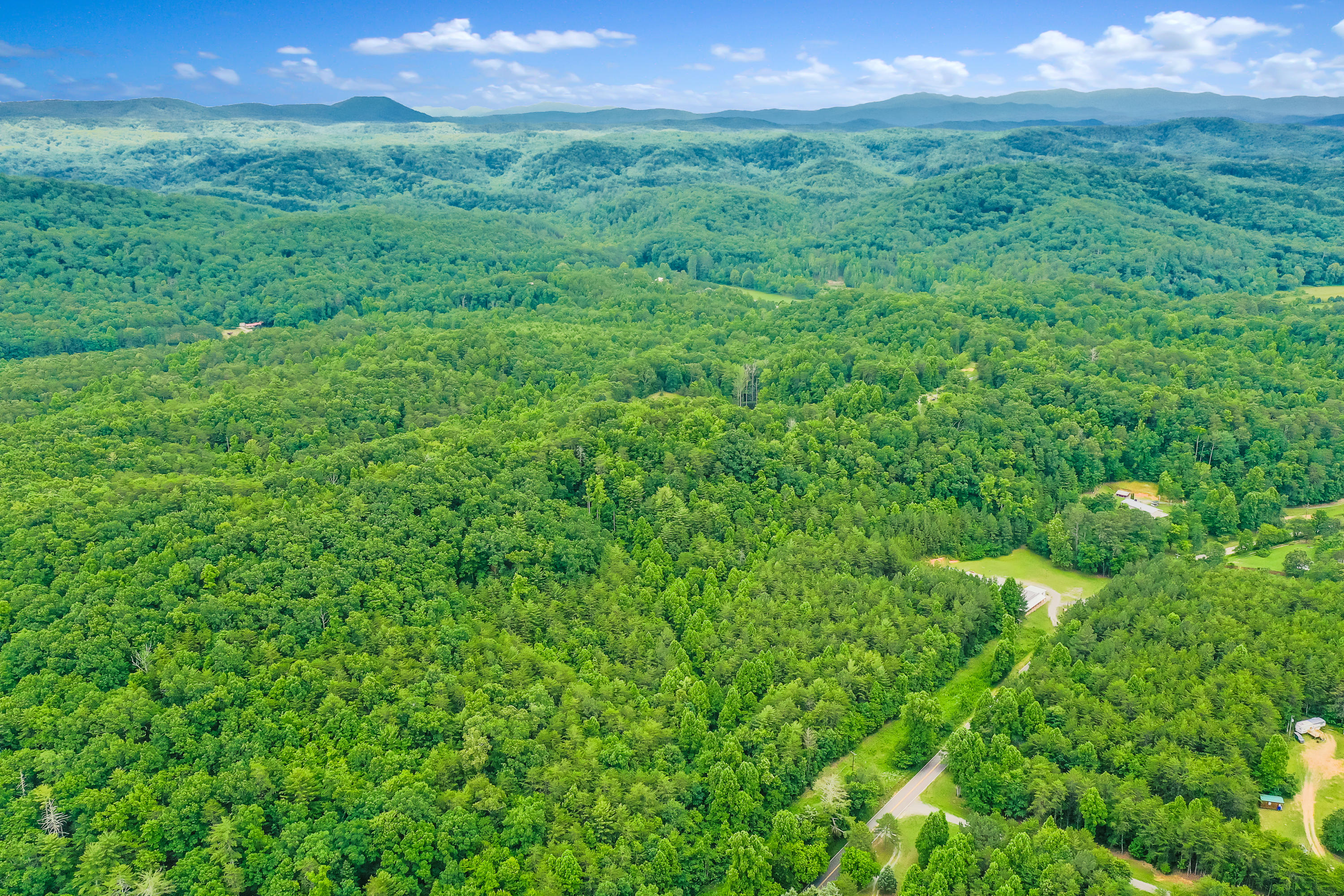 Reliance Road Road Tellico Plains, TN 37385 - Photo 4 of 15 RelianceRd-5