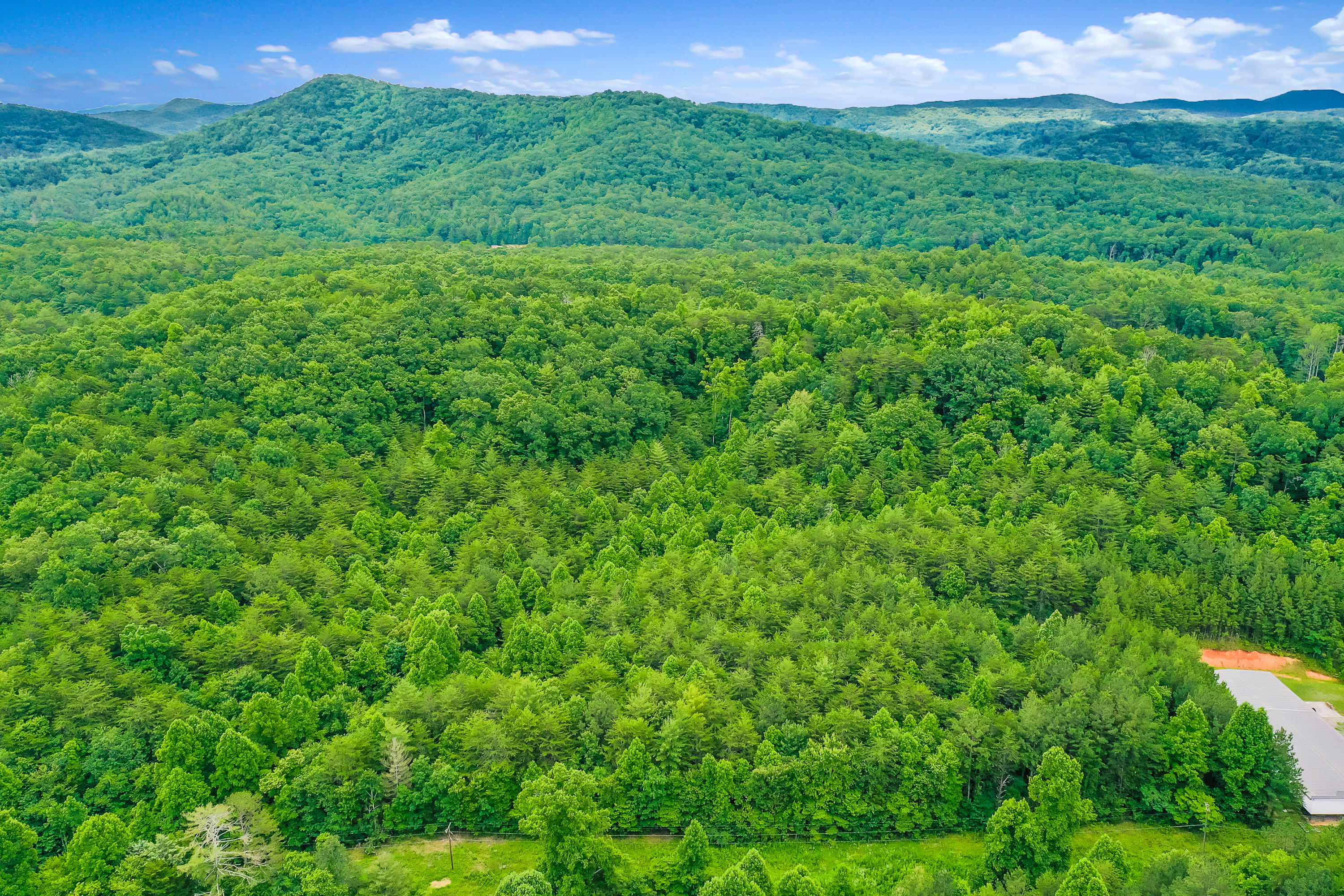 Reliance Road Road Tellico Plains, TN 37385 - Photo 5 of 15 RelianceRd-8