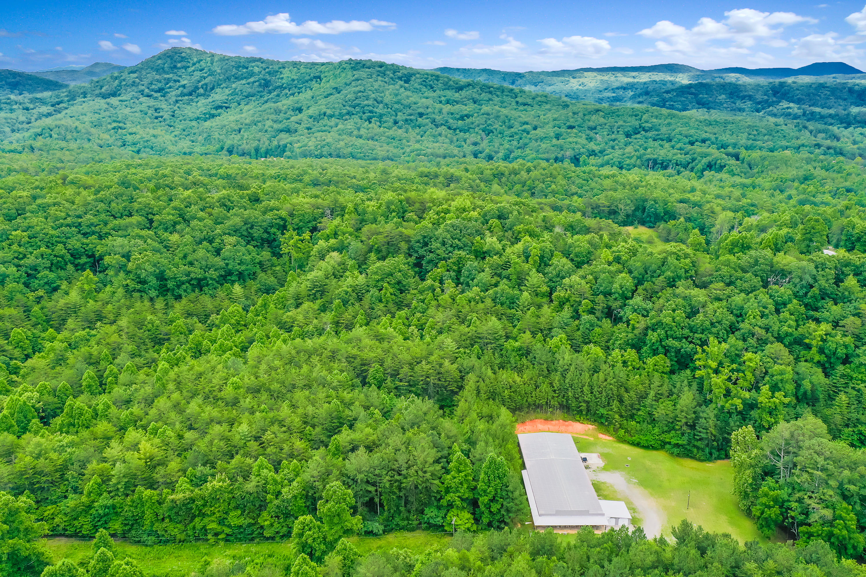 Reliance Road Road Tellico Plains, TN 37385 - Photo 6 of 15 RelianceRd-9