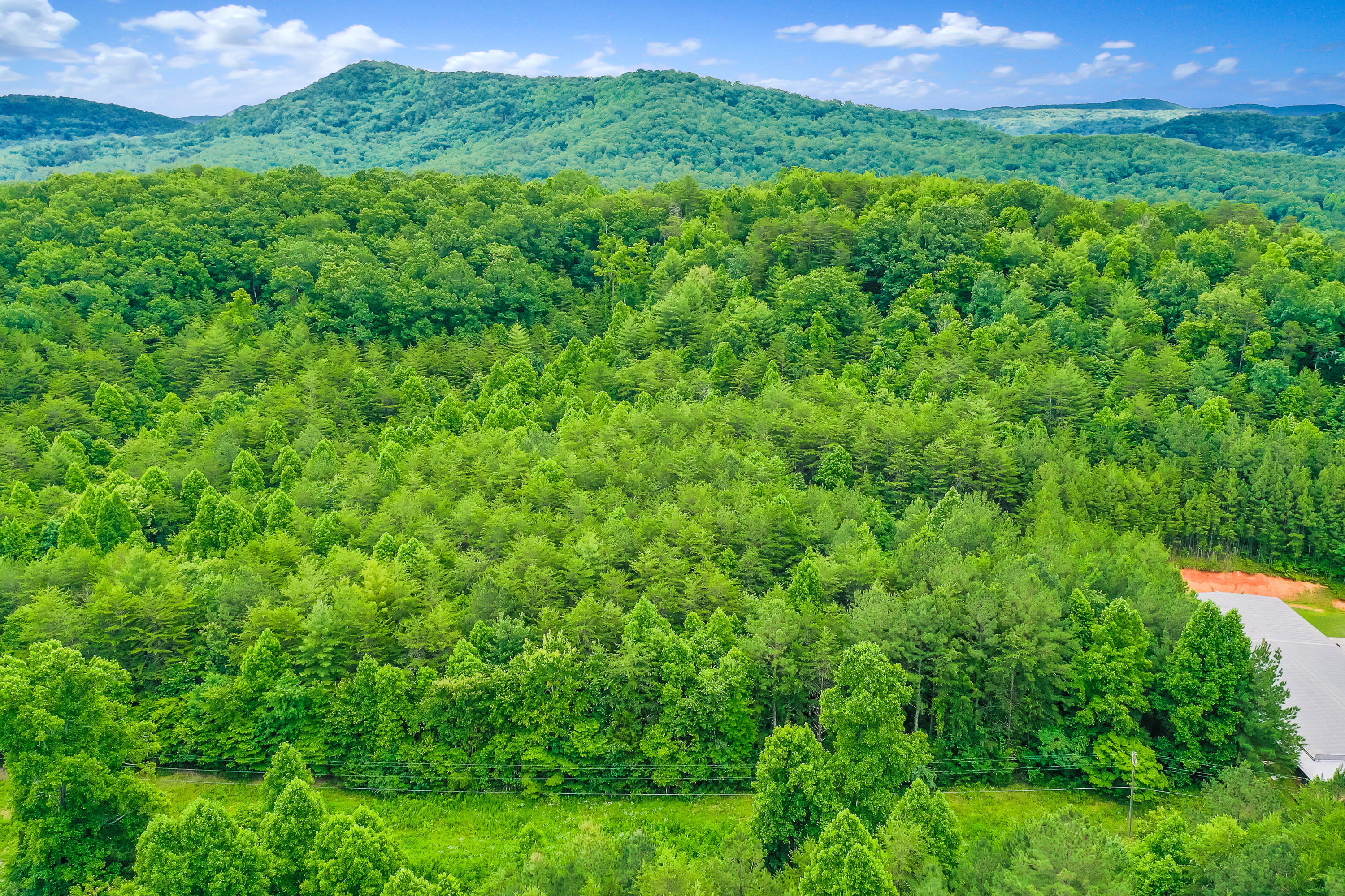 Reliance Road Road Tellico Plains, TN 37385 - Photo 7 of 15 RelianceRd-11