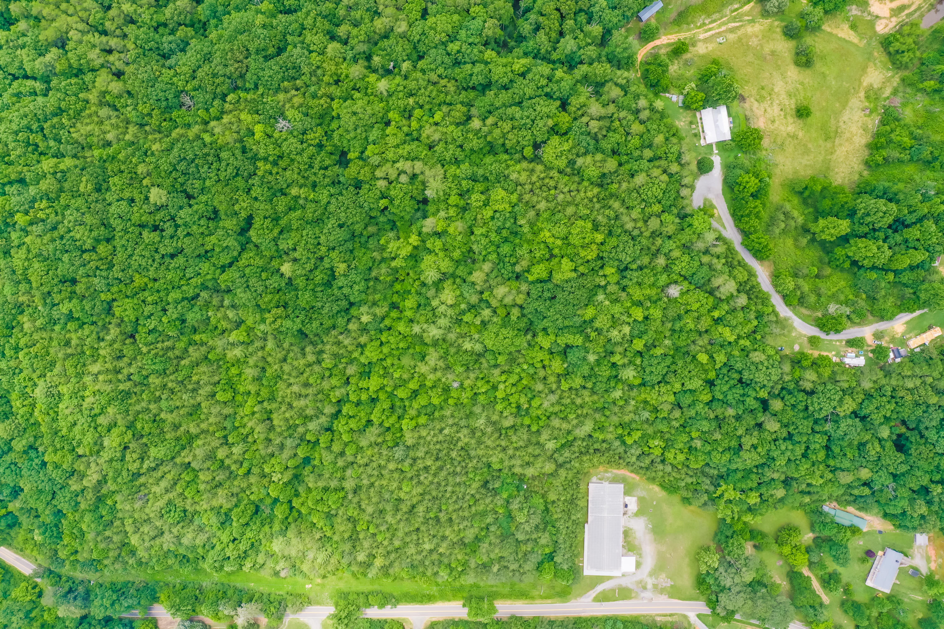 Reliance Road Road Tellico Plains, TN 37385 - Photo 8 of 15 RelianceRd-12