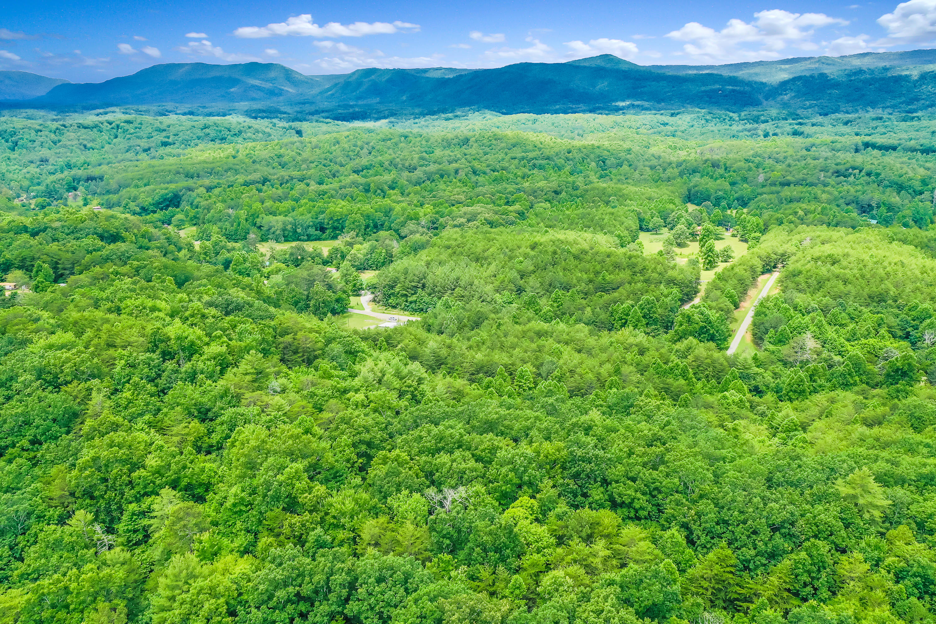 Reliance Road Road Tellico Plains, TN 37385 - Photo 9 of 15 RelianceRd-14