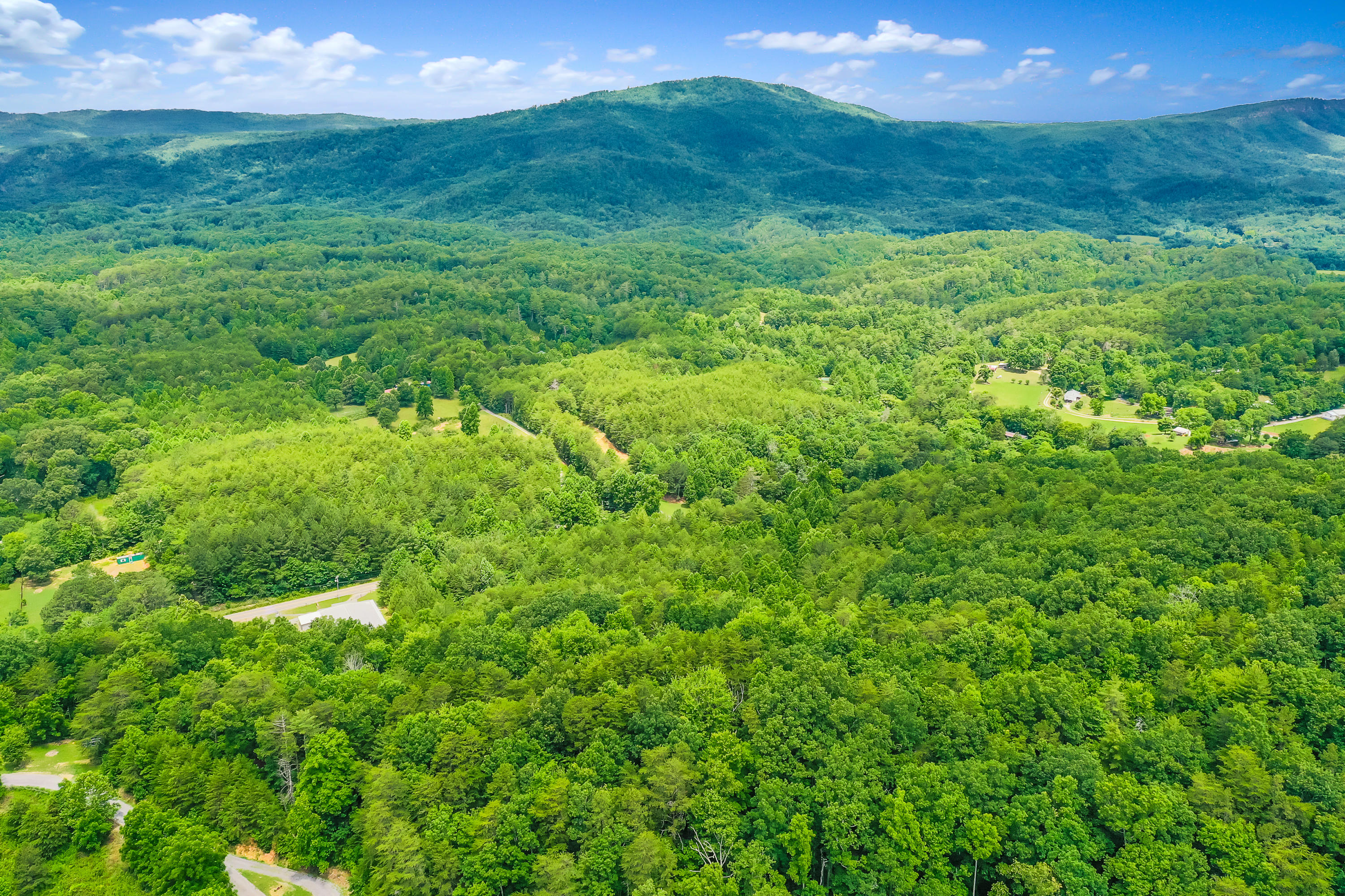 Reliance Road Road Tellico Plains, TN 37385 - Photo 10 of 15 RelianceRd-15