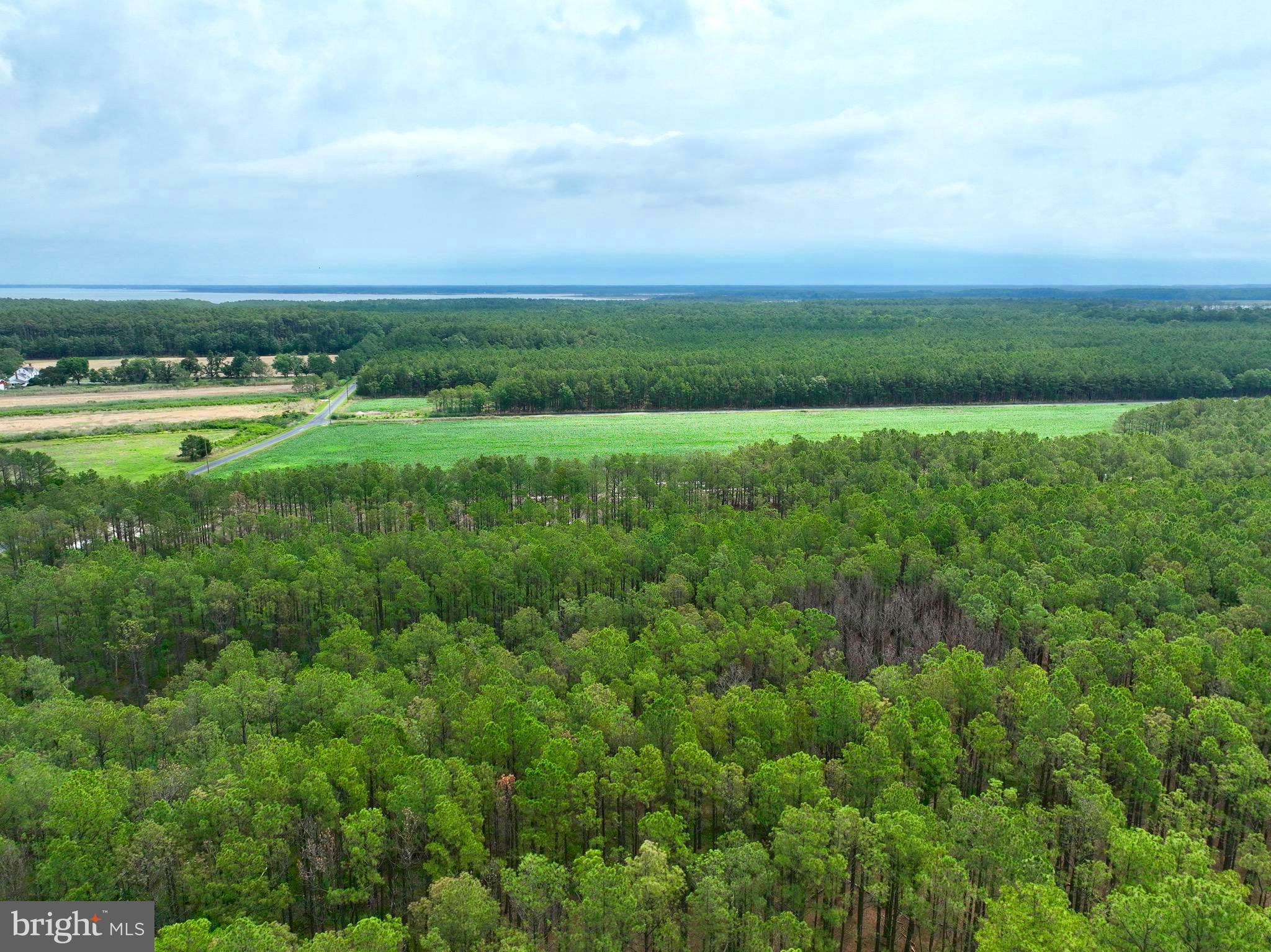 0 Hooper Neck Road Madison, MD 21648 - Photo 28 of 129