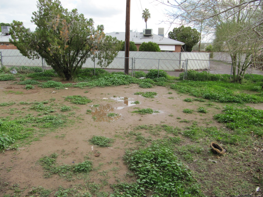 2821 West Lawrence Road Phoenix, AZ 85017 - Photo 9 of 10 IMG_0135