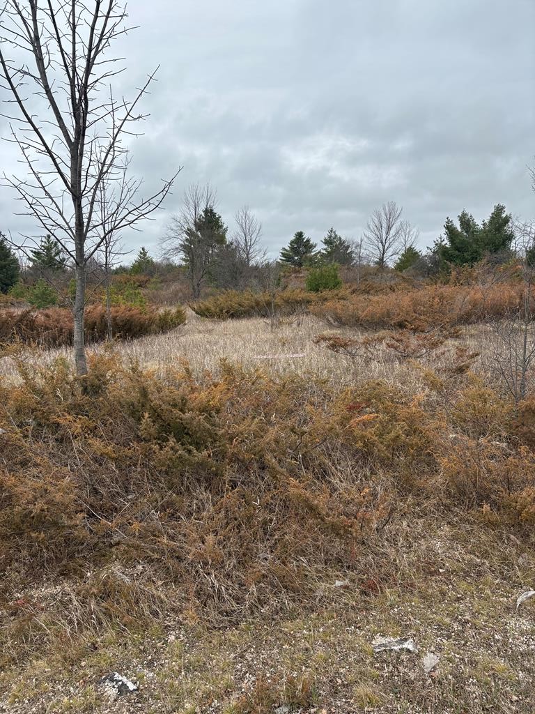 Woodcrest Road Sister Bay, WI 54234 - Photo 1 of 15 Main View