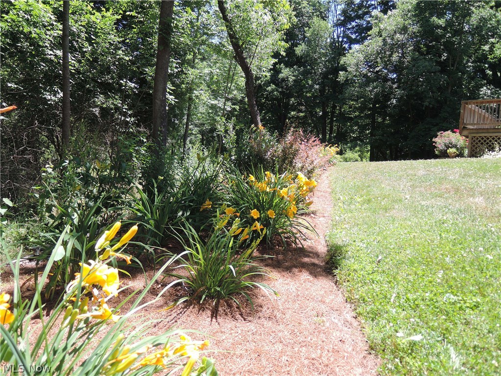 12853 Heath Road Chesterland, OH 44026 - Photo 12 of 28 Side garden with more flowers to enjoy!