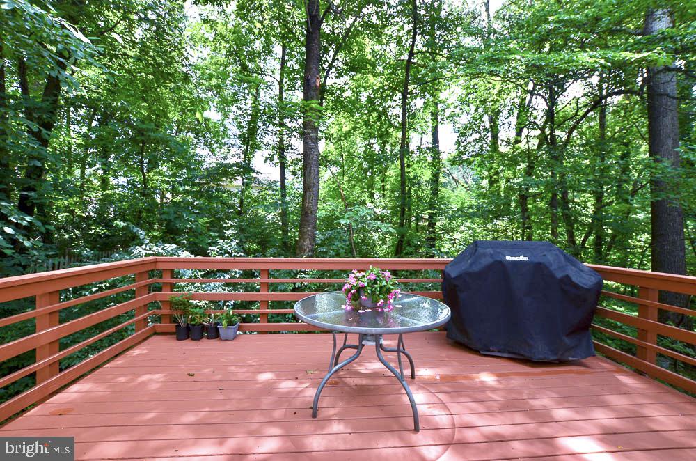 18 Carrollton Road Sterling, VA 20165 - Photo 18 of 45 Scenic wooded back yard view from rear deck