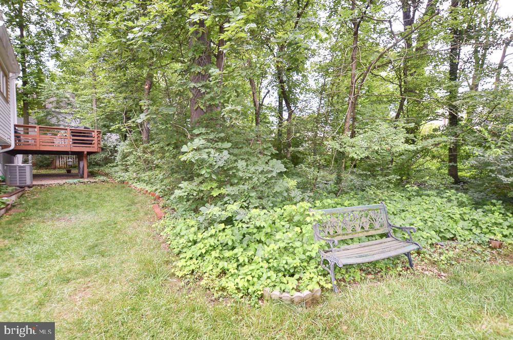 18 Carrollton Road Sterling, VA 20165 - Photo 3 of 45 Low maintenance park-like wooded back yard
