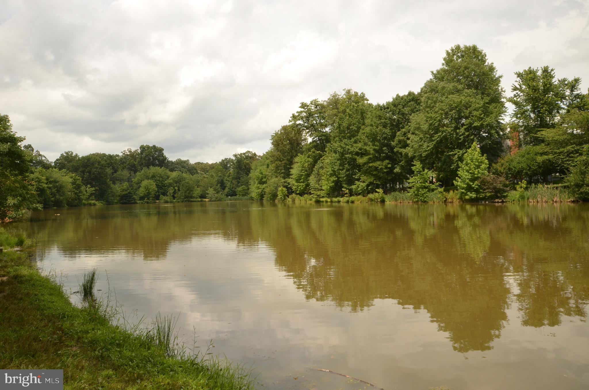 18 Carrollton Road Sterling, VA 20165 - Photo 41 of 45 CountrySide's own fishing pond