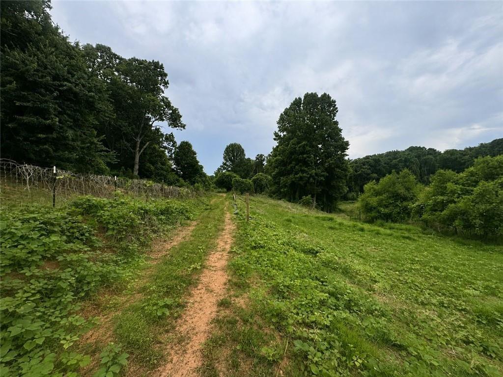 1460 Sam Nelson Road Canton, GA 30114 - Photo 5 of 7