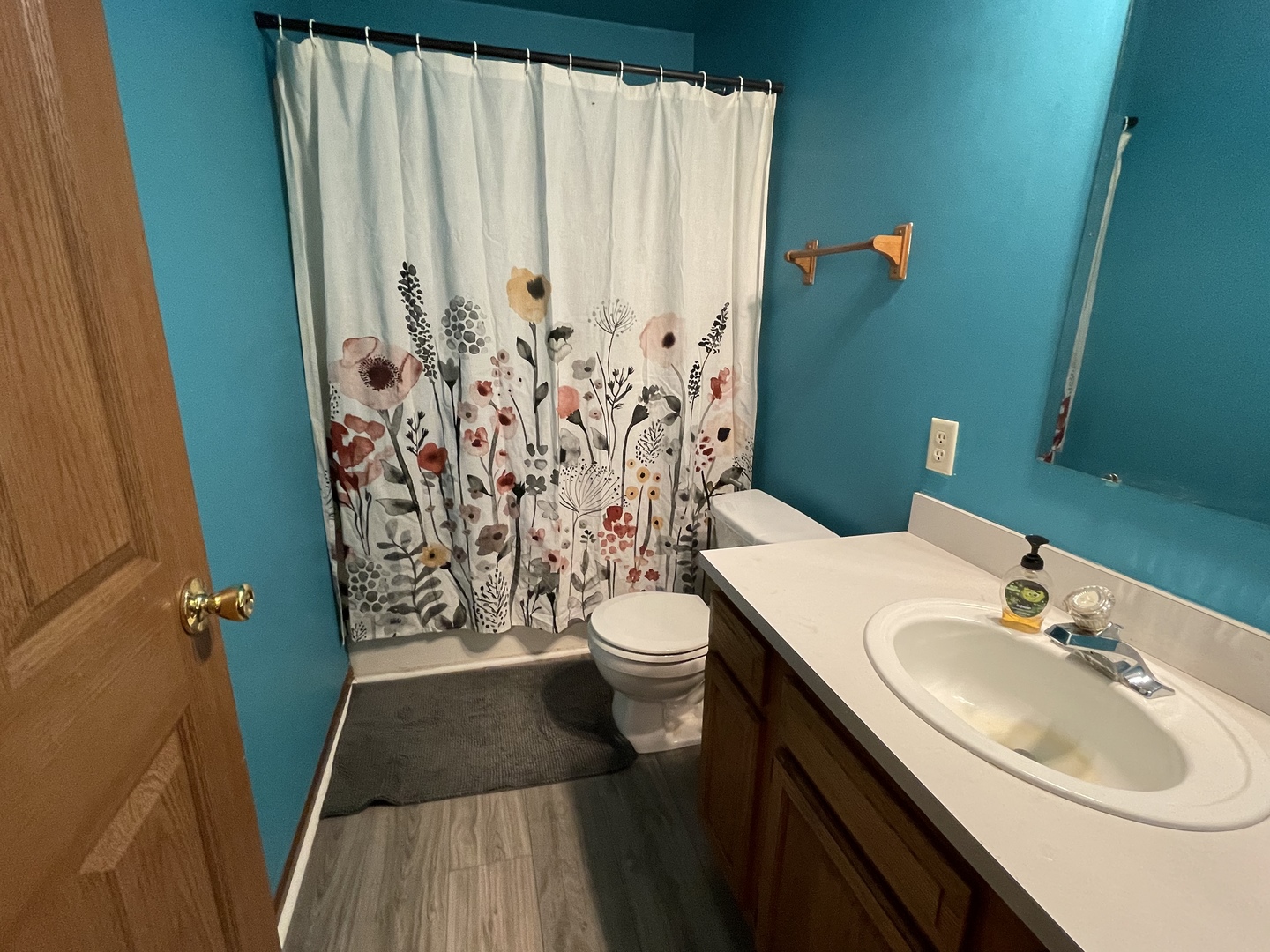 799 Searls Road Amboy, IL 61310 - Photo 20 of 23 a bathroom with a sink and a mirror