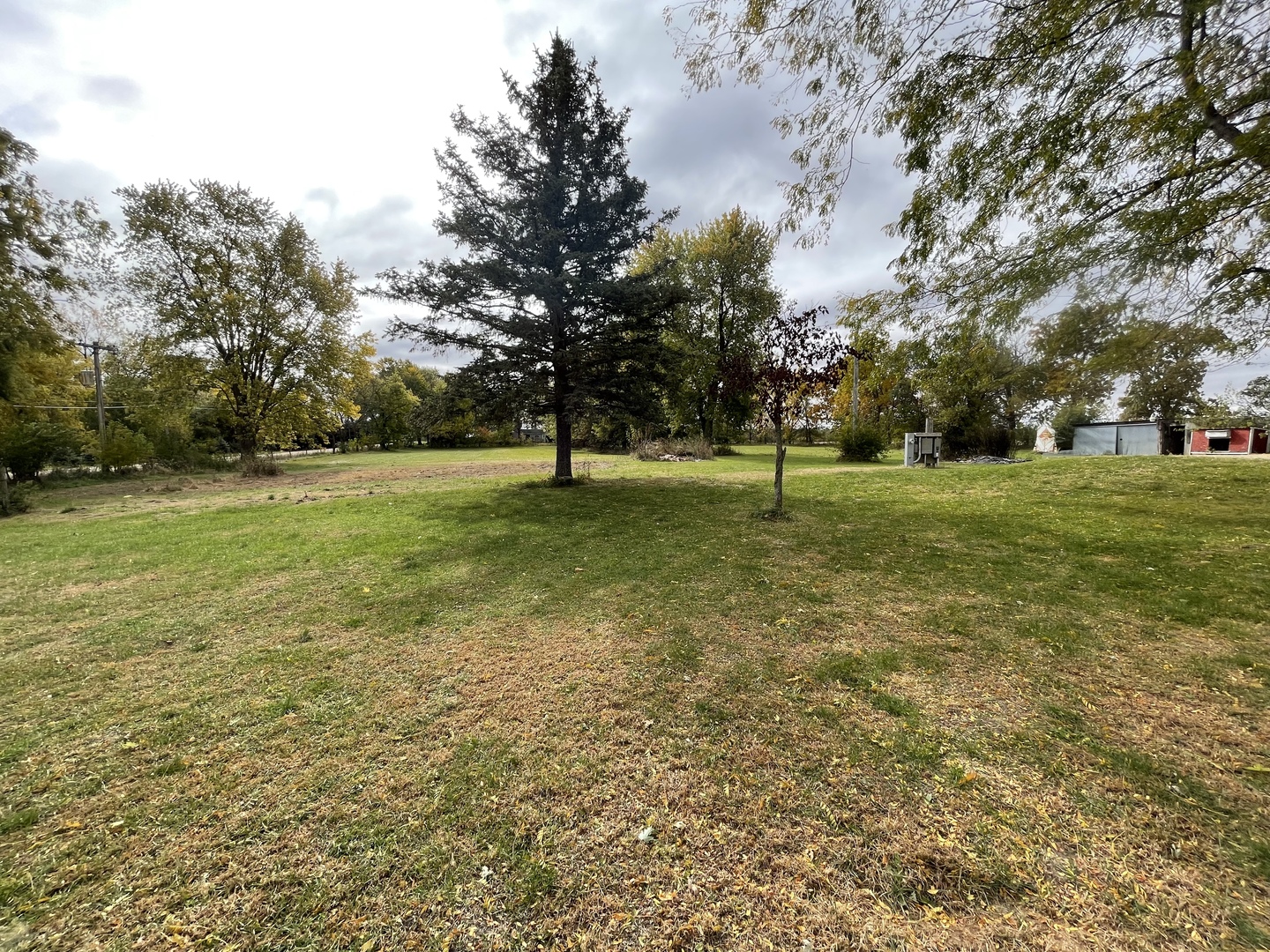 799 Searls Road Amboy, IL 61310 - Photo 2 of 23 a view of a field with a tree