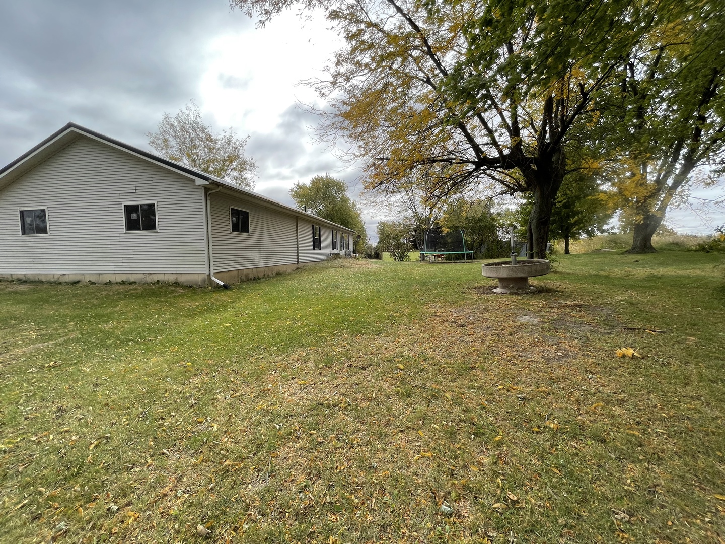 799 Searls Road Amboy, IL 61310 - Photo 5 of 23 a view of a backyard with large trees
