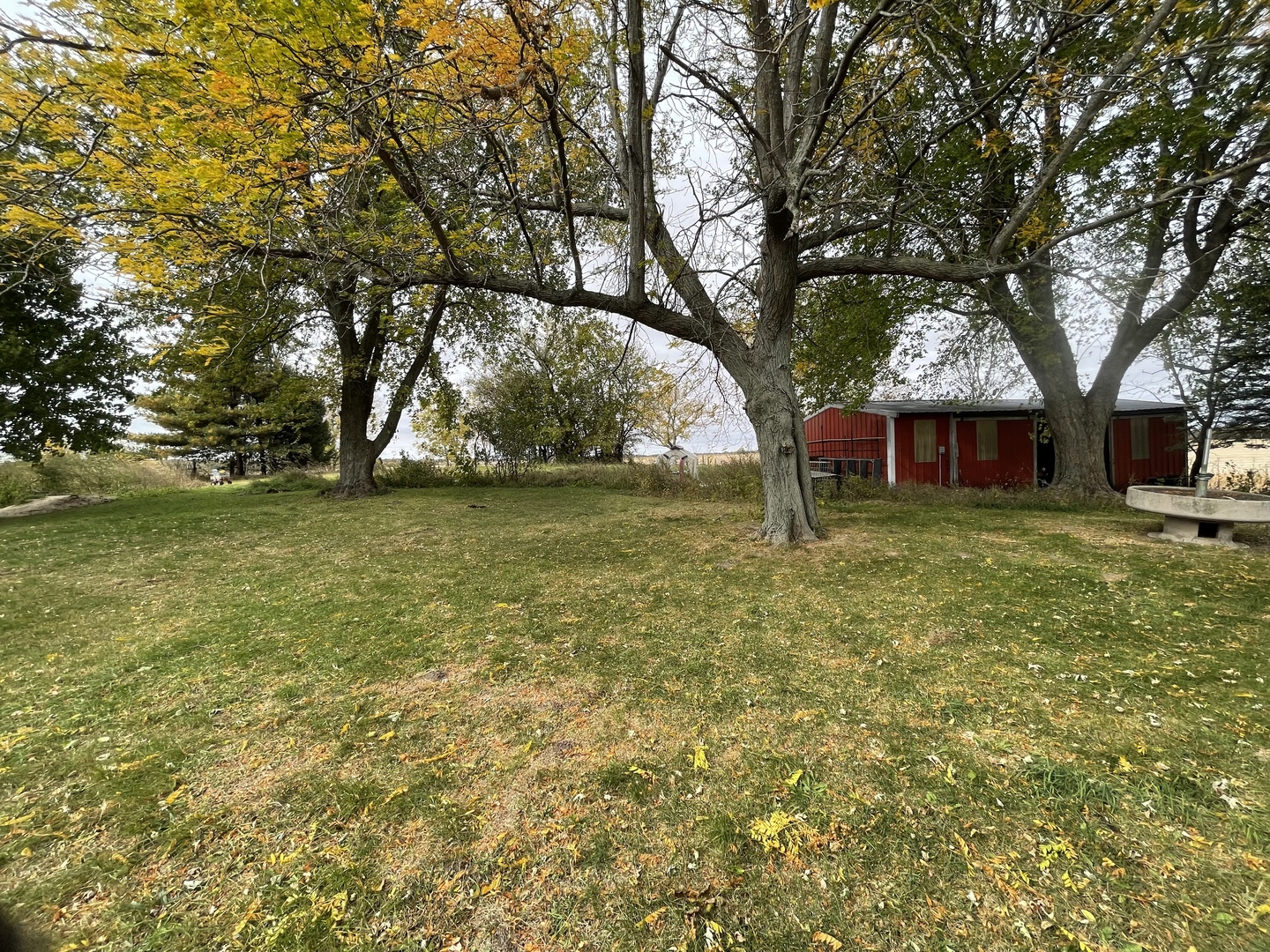 799 Searls Road Amboy, IL 61310 - Photo 6 of 23 a view of swimming pool with tree s