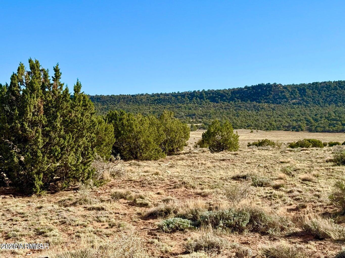 85 Co Road Concho, AZ 85924 - Photo 8 of 24 a view of a lake view