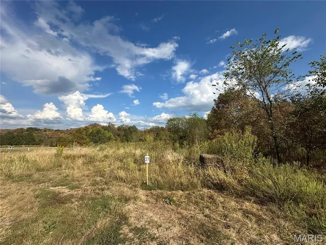 $39,000 | 2926 Christina Court, Farmington, MO 63640