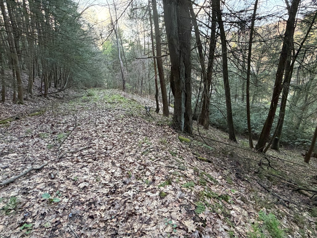 0 Firemans Road Clarion, PA 16214 - Photo 7 of 20