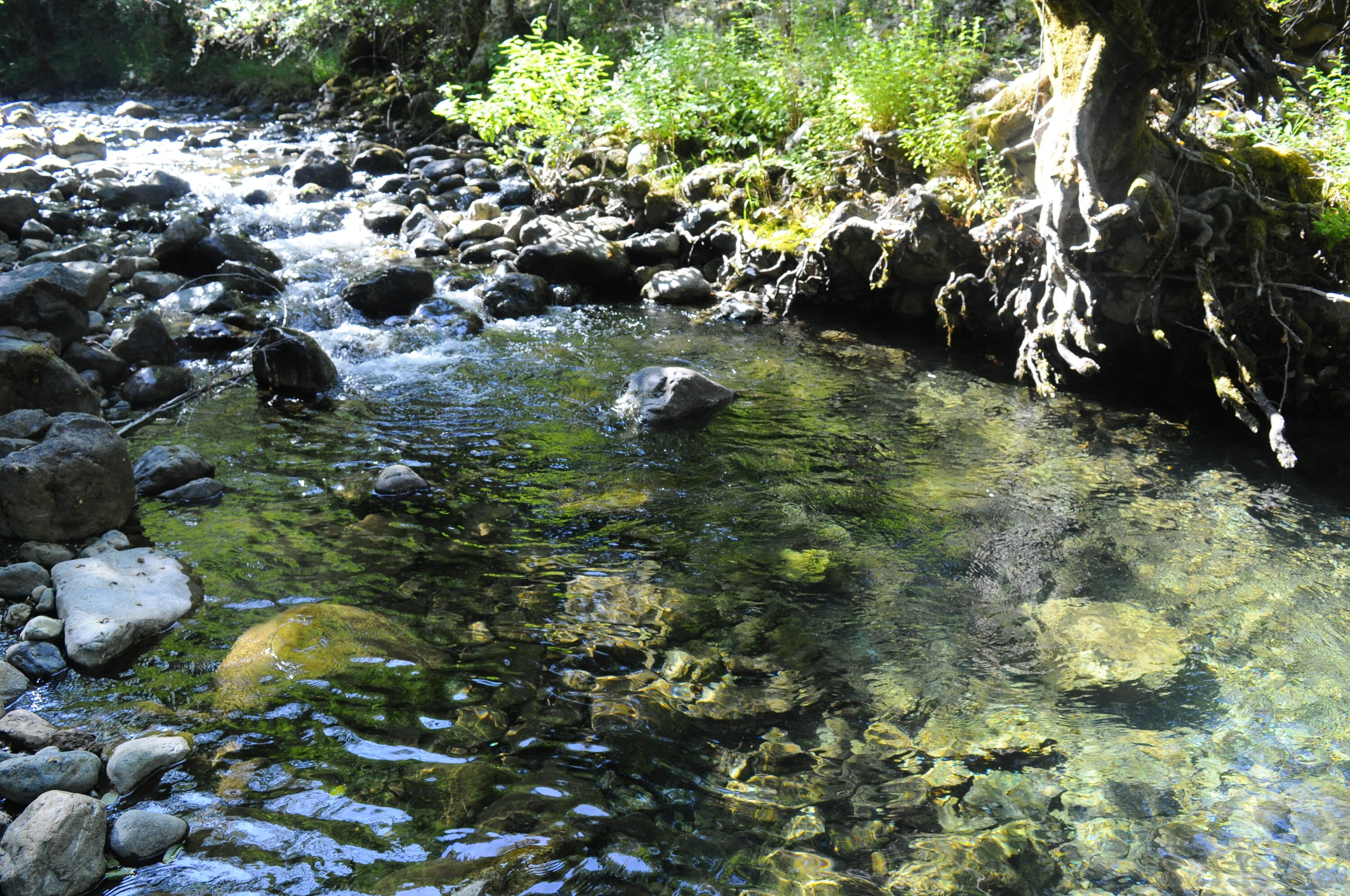 8843 Deer Creek Road Selma, OR 97538 - Photo 58 of 65 57