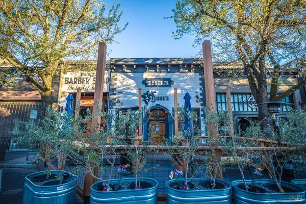a view of swimming pool with large trees and wooden fence