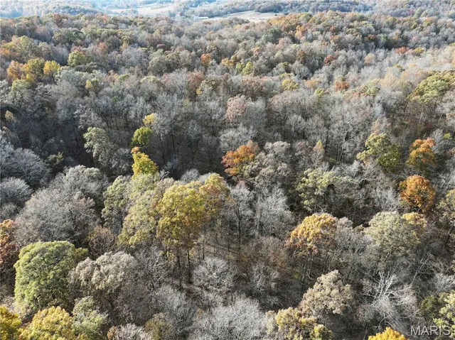 $295,000 | 606 County Road 606, Cape Girardeau, MO 63701