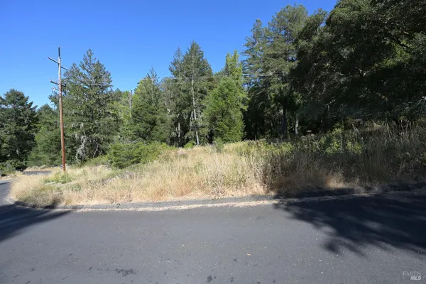 a view of a yard covered with snow in between of two and trees