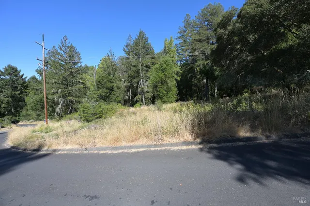 a view of a yard covered with snow in between of two and trees