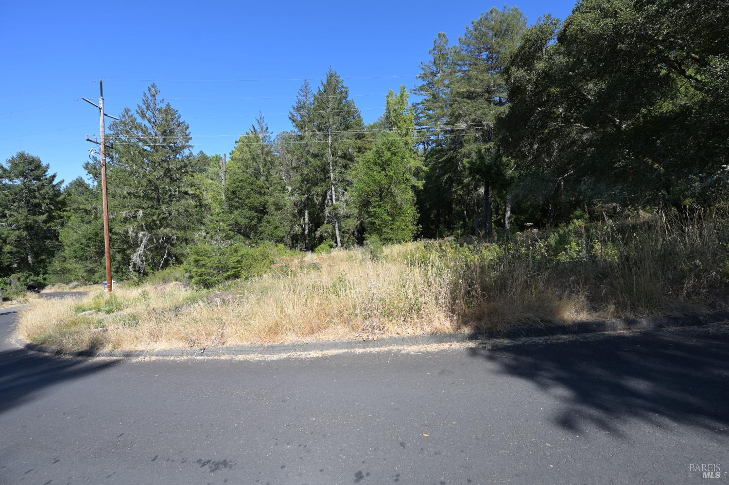 1 Meadow View Lane San Geronimo, CA 94963 - Photo 11 of 17 a view of a yard covered with snow in between of two and trees
