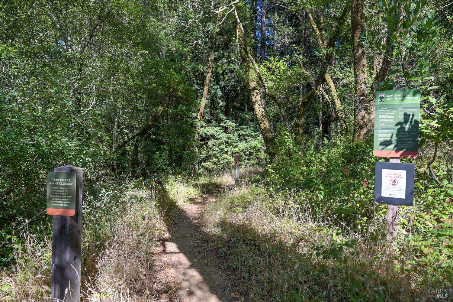 1 Meadow View Lane San Geronimo, CA 94963 - Photo 12 of 17 a close up of a tree in a yard