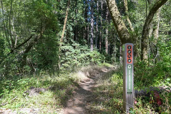 a sign that is sitting in a forest