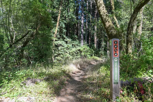 a sign that is sitting in a forest