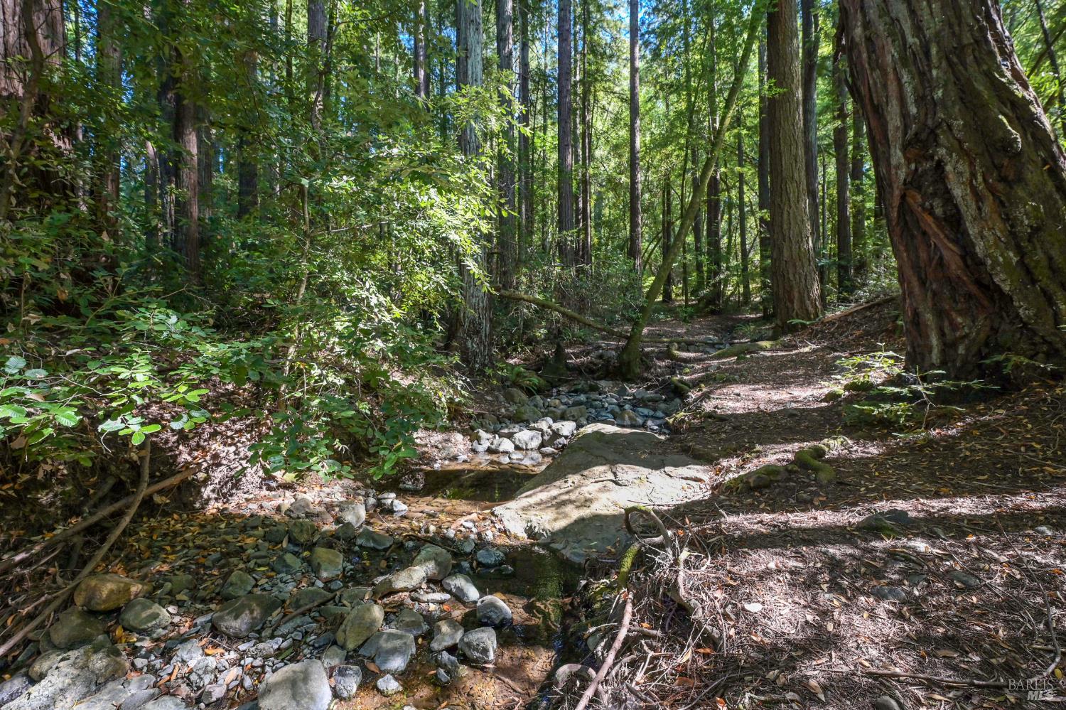 1 Meadow View Lane San Geronimo, CA 94963 - Photo 15 of 17 a view of outdoor space and tree